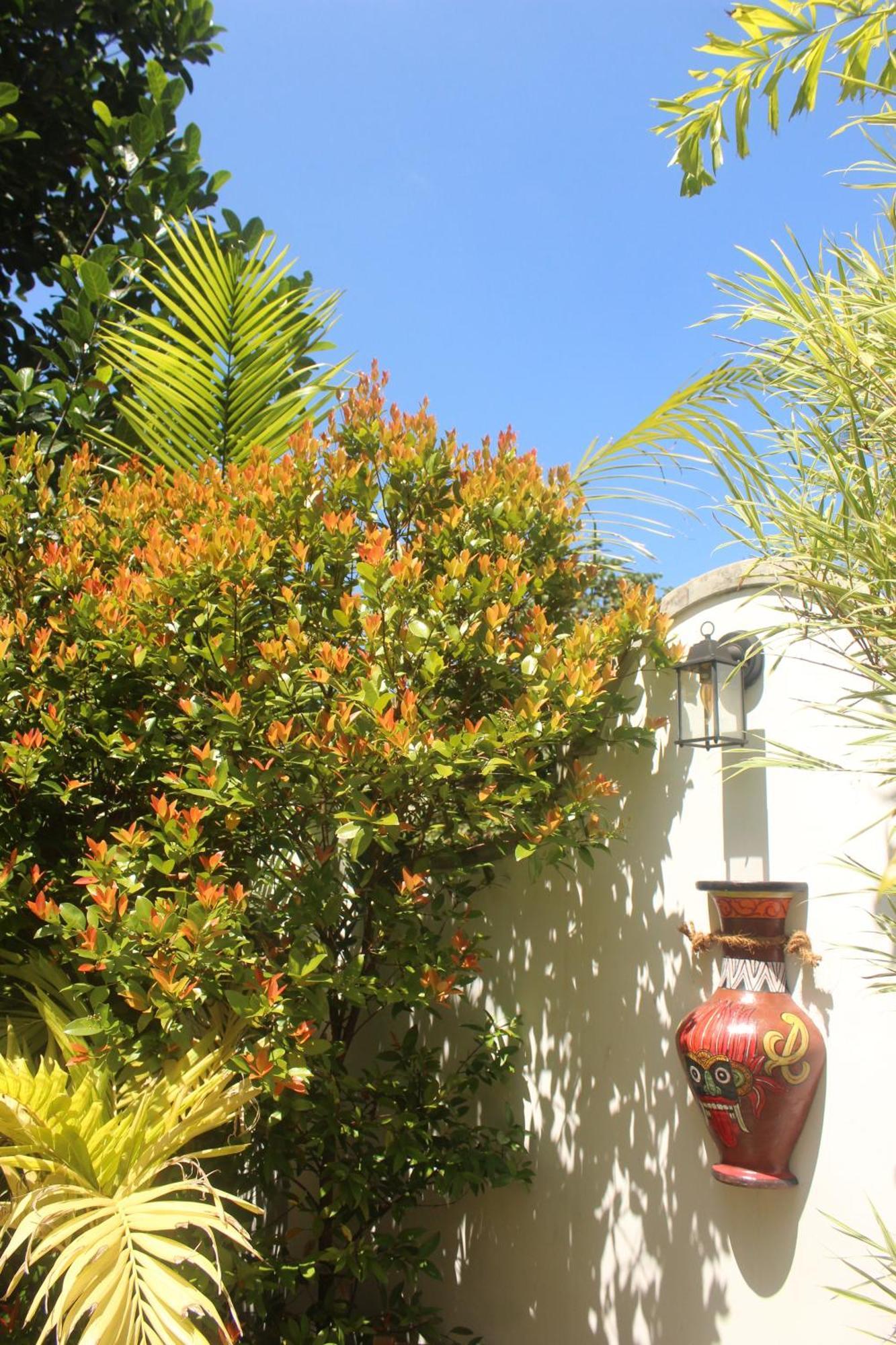 Villa Olde Ceylon Kandy Bagian luar foto