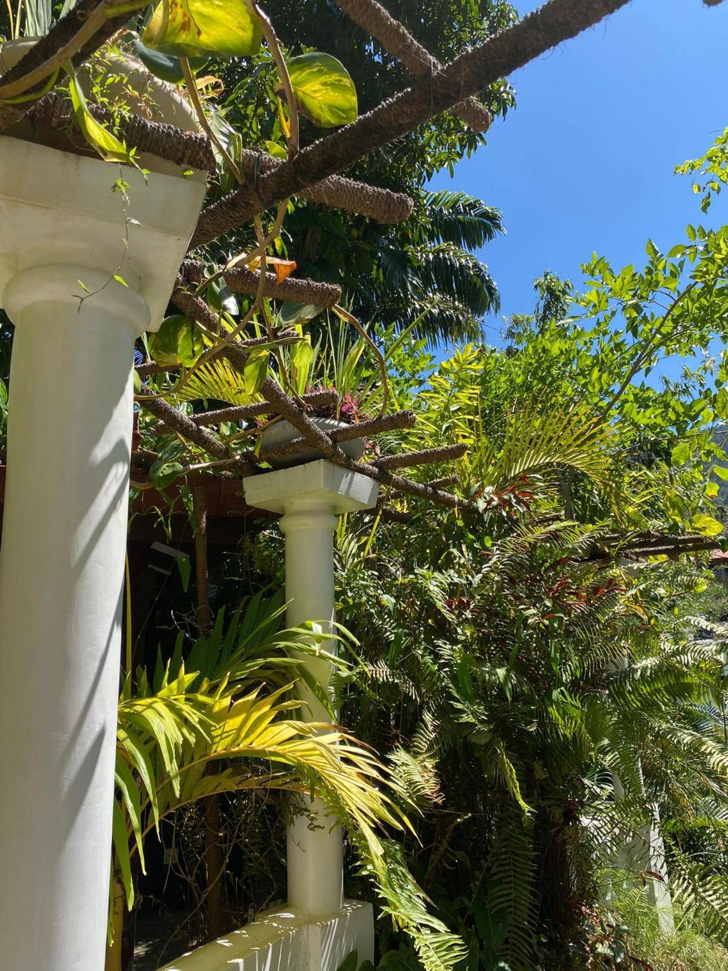 Villa Olde Ceylon Kandy Bagian luar foto